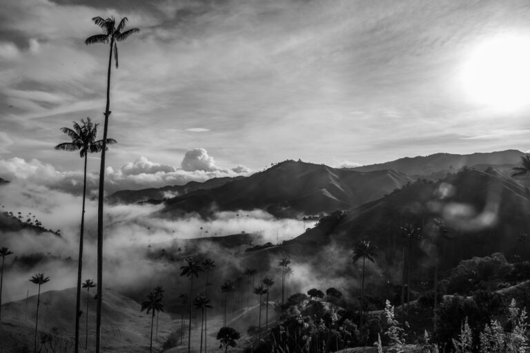 Verticales de niebla